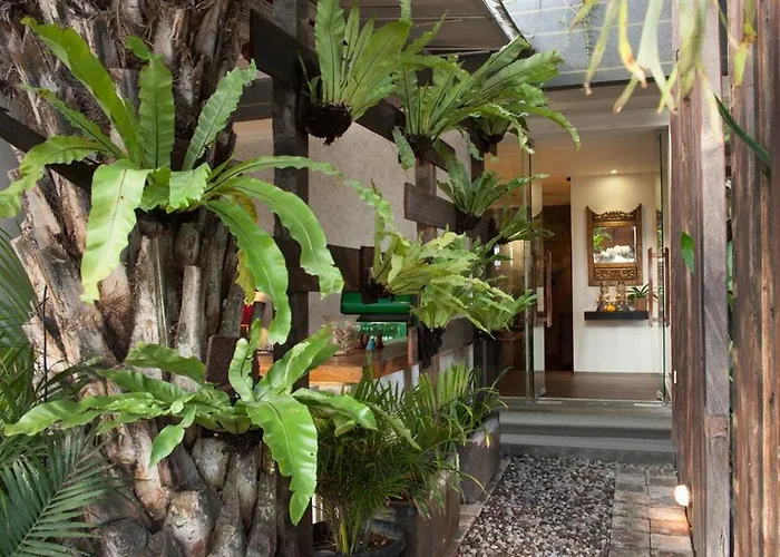 Grandmas 3*