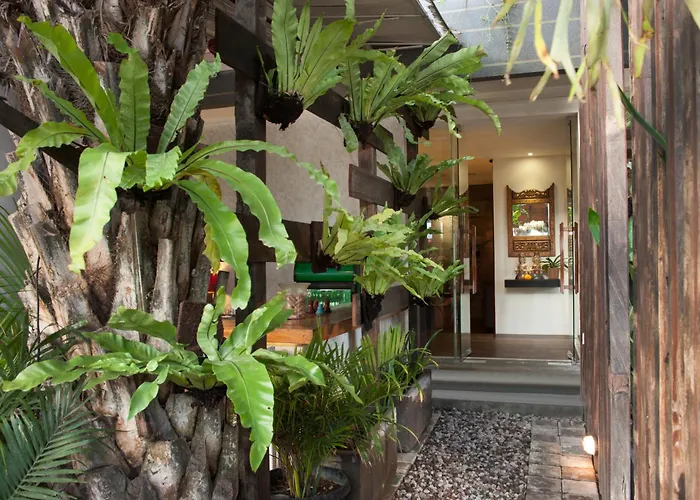 Grandmas Hotel